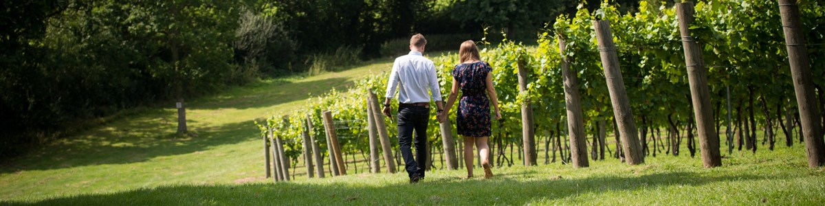 Chapel Down Vineyard 1