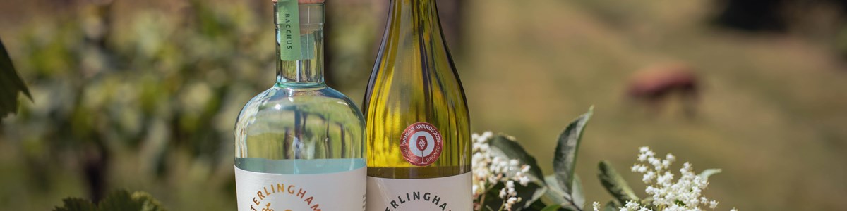 Terlingham Stock 16 (1)