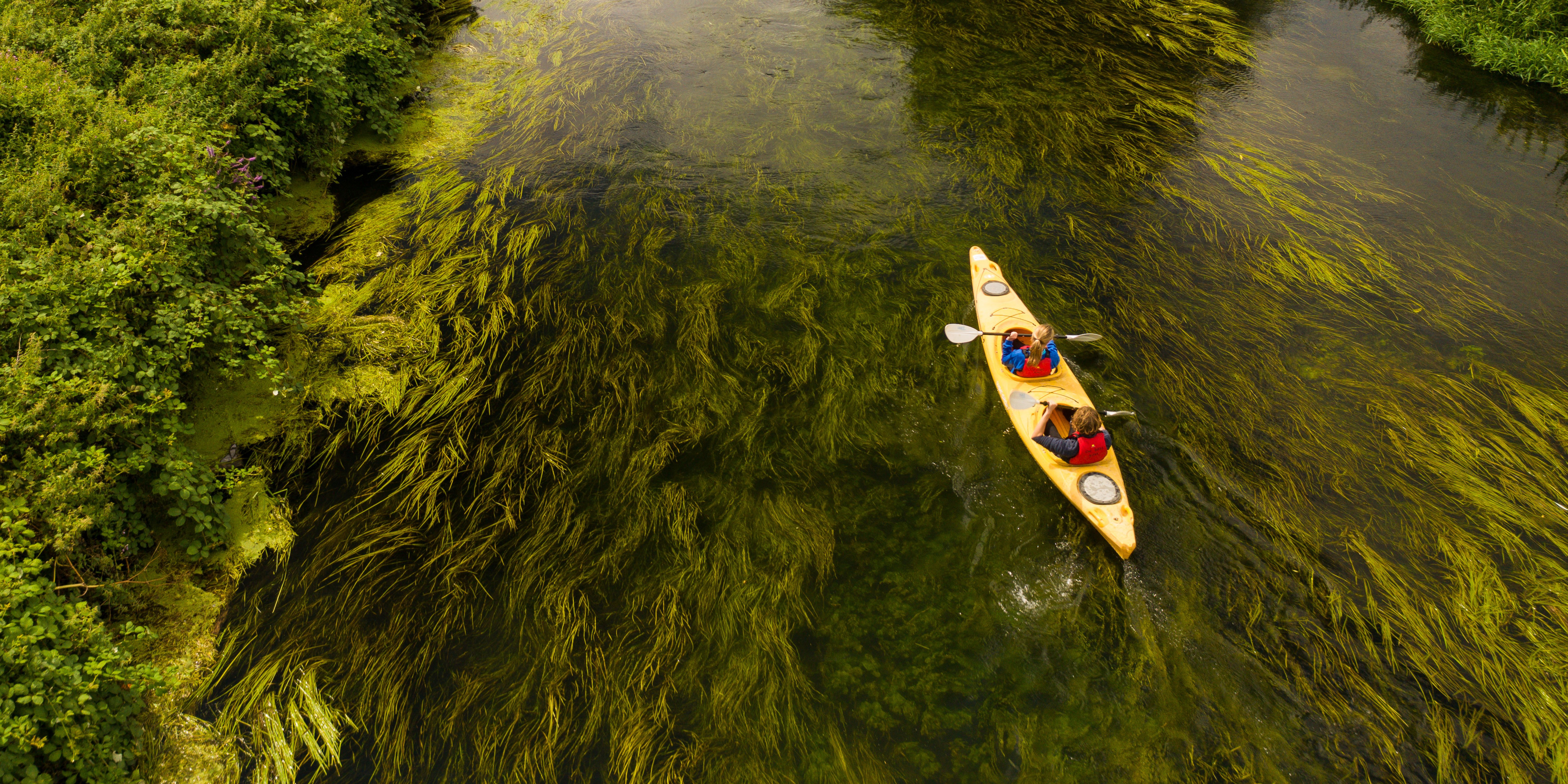 Untitled Design 2023 05 18T150959.617