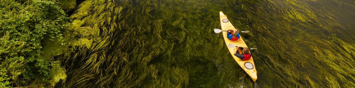 Untitled Design 2023 05 18T150959.617