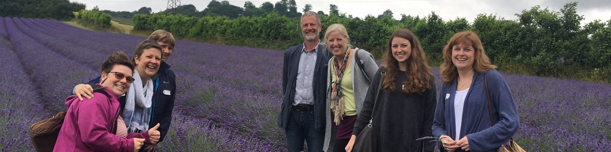 Untitled Design 2023 05 18T162047.573