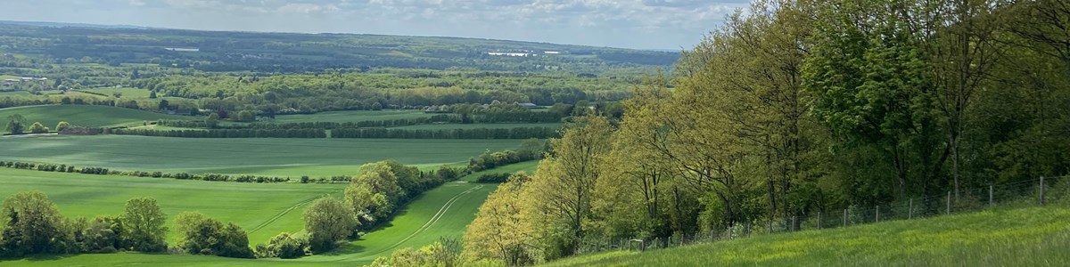 Untitled Design 2023 05 23T142118.877