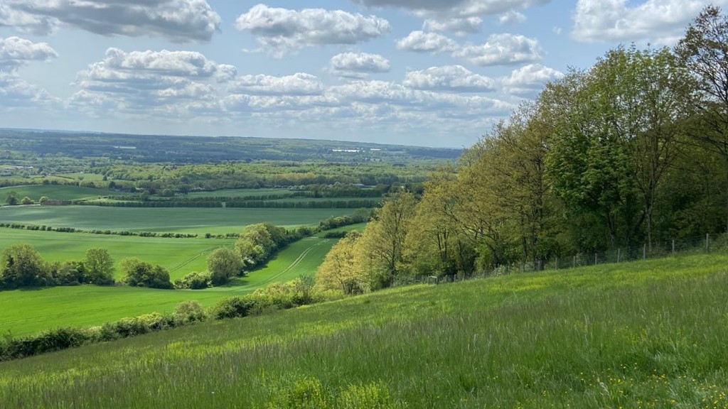 Untitled Design 2023 05 23T142348.830