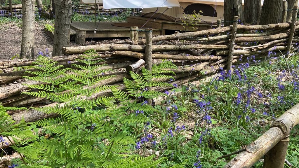 Untitled Design 2023 05 23T142147.721 (1)