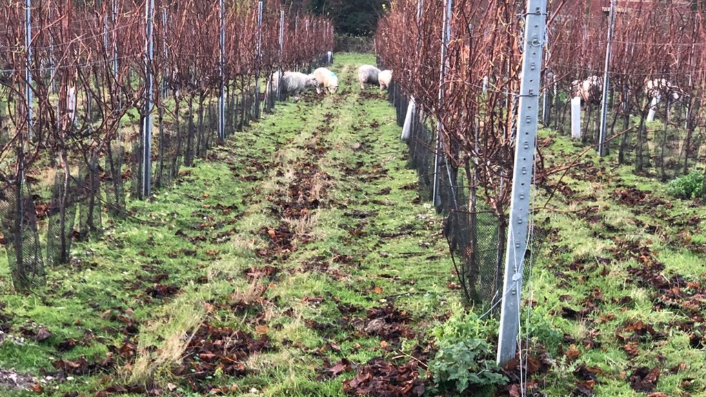 1Efa8f50 B1b8 4Dd2 972F 026Fc229f832