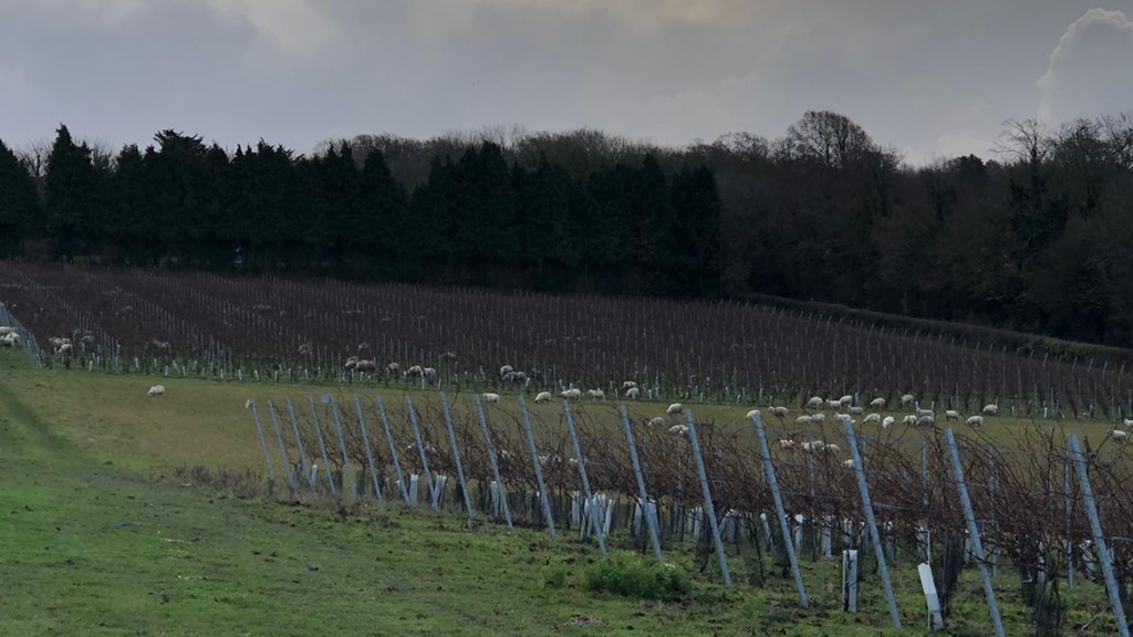 5Cb0b7e5 8Cb6 4C6c 8D82 C88b8dbfe565