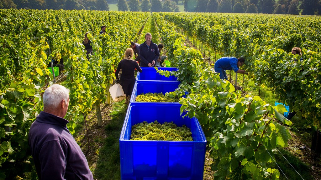 Simpsons Harvest@ Thomas Alexander Photography